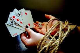 Онлайн казино Casino Cat